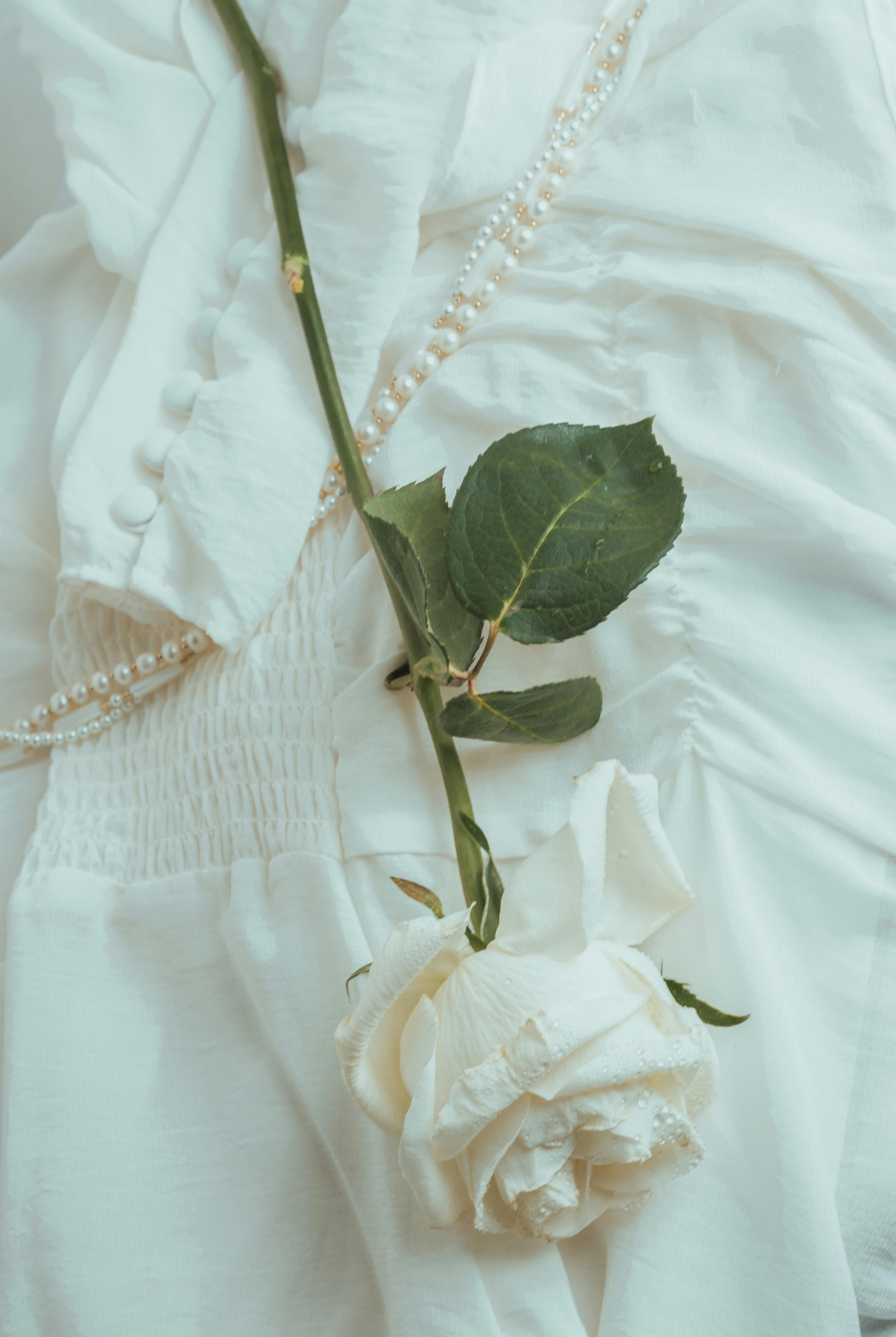 A white rose on a textured fabric, adorned with a delicate string of pearls.