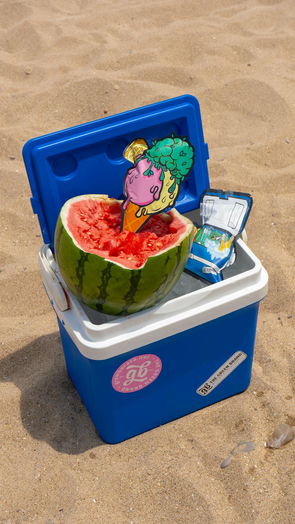 Minty Watermelon Cooler Creami Minty Watermelon Cooler Creami