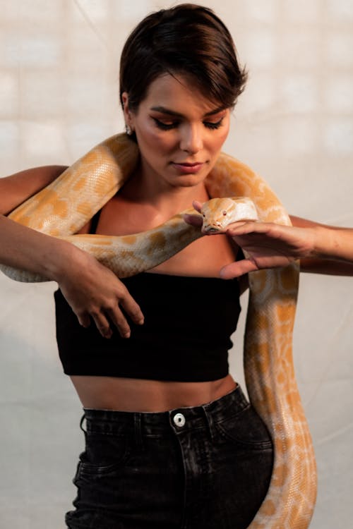Calm young female in top and jeans standing with snake crawling on neck and looking down