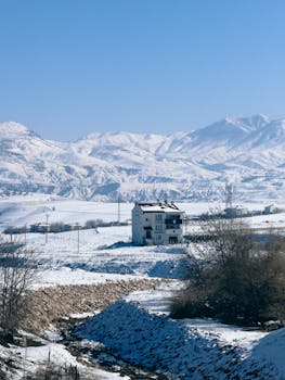 Awas! Cacing Palu Beracun dan Invasif Bisa Muncul di Halaman Kamu - awas! 1
