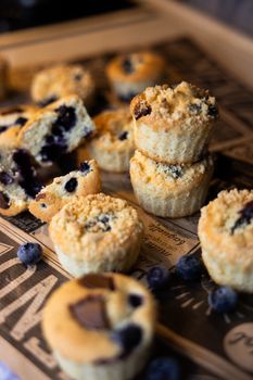 Blueberry Muffin Blueberry Muffin Toasters Cereal