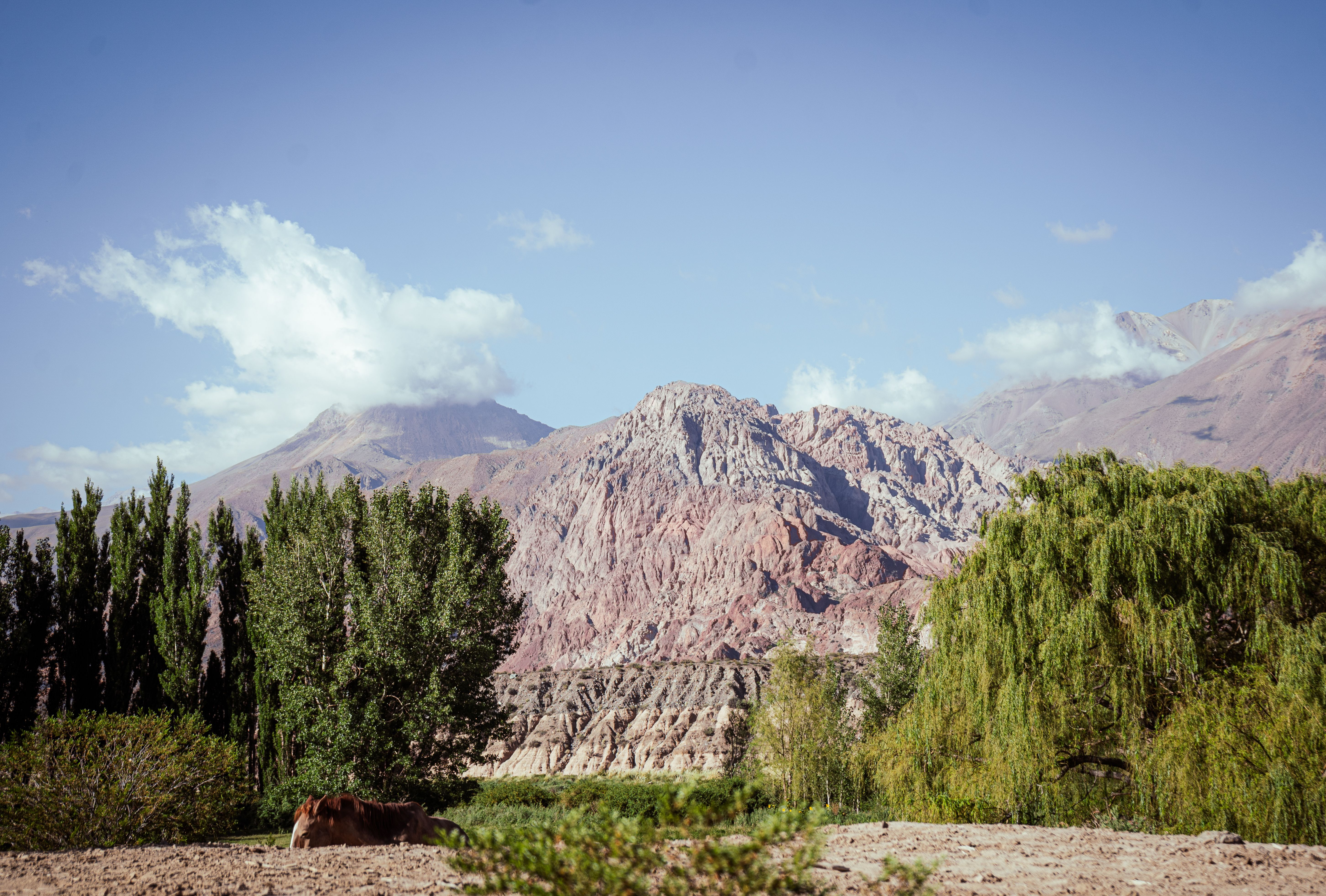 Scenic view of Uspallata's mountainous terrain with lush greenery, located in Mendoza, Argentina.
