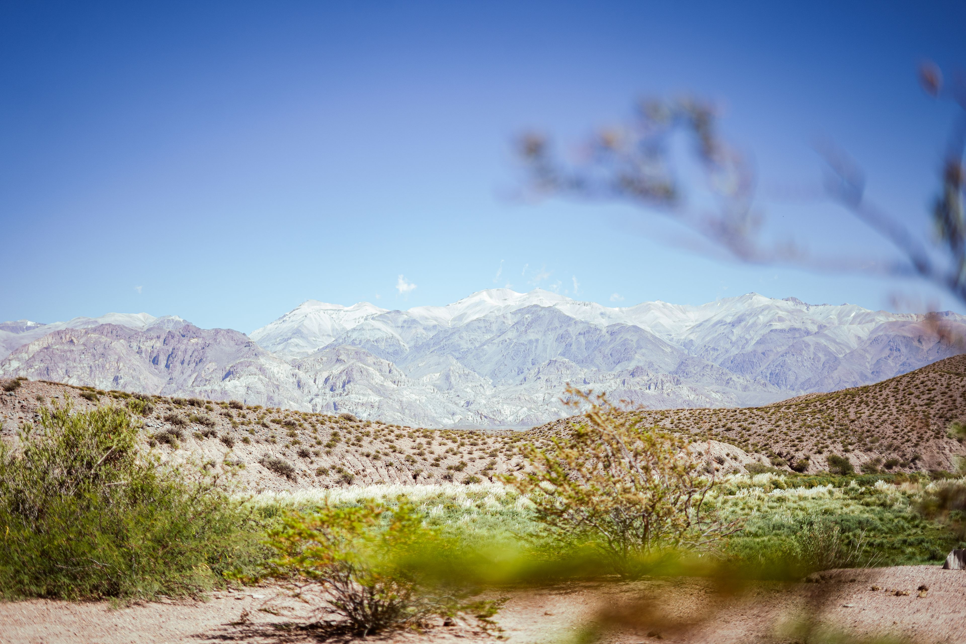Mendoza desert landscape foothills