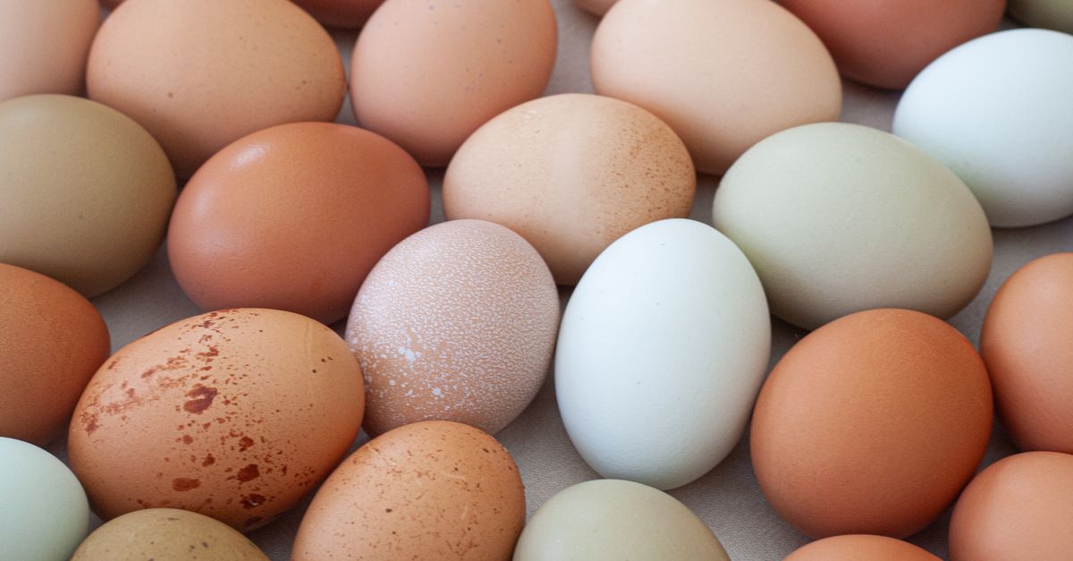 Egg quality support: sleep, stress, and micronutrients image 2