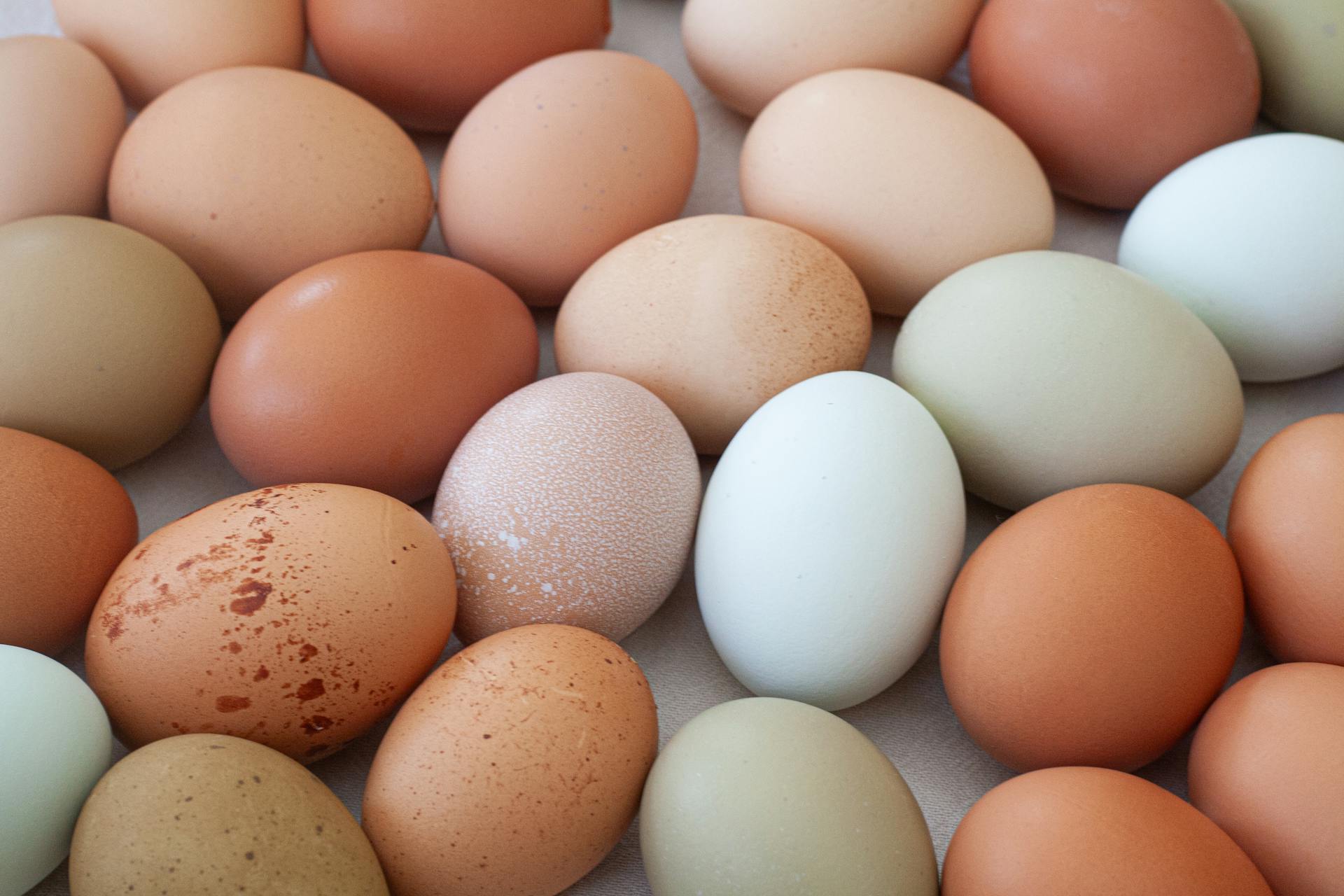 colorful farm fresh eggs