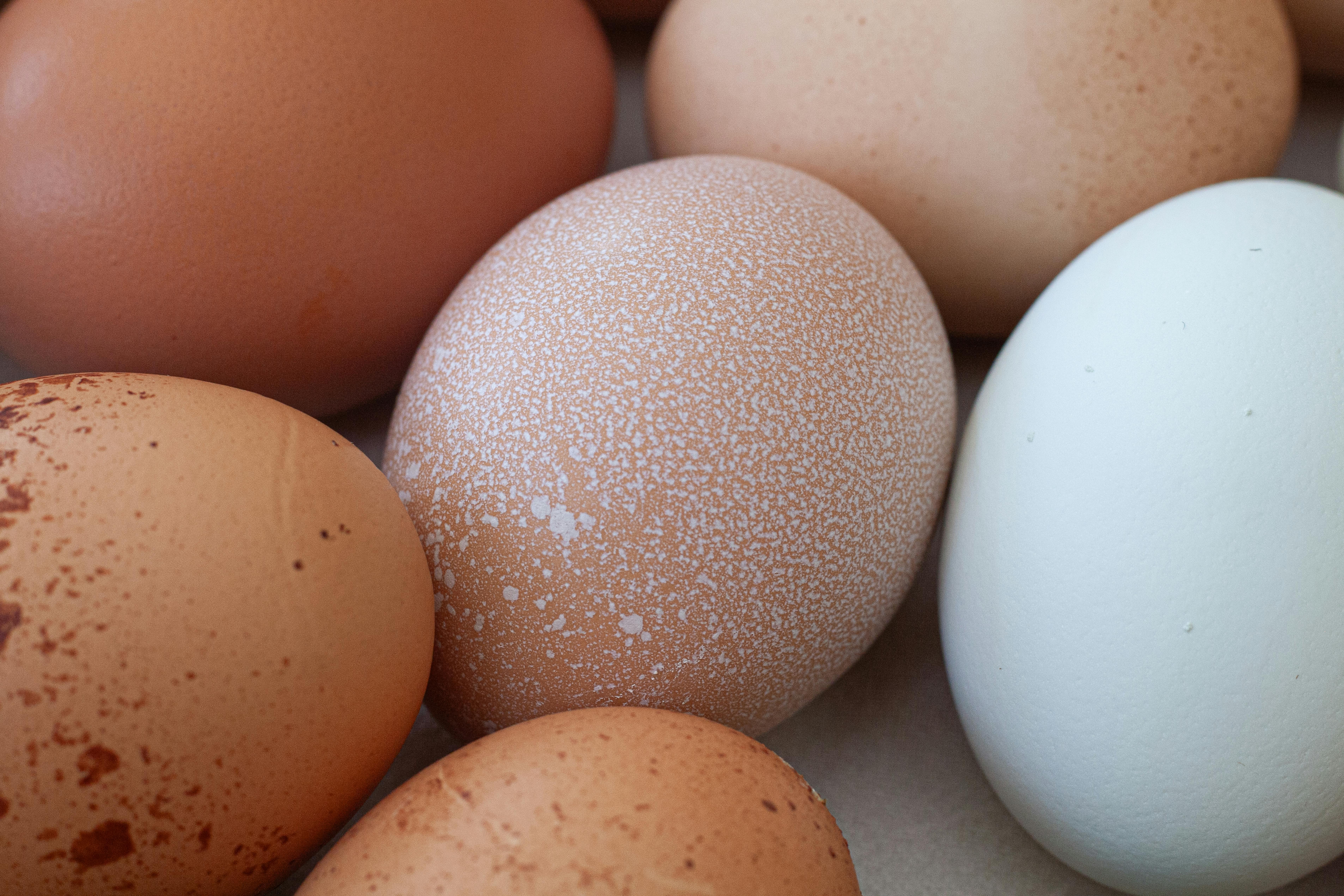 A detailed close-up of diverse farm fresh eggs showcasing natural texture and color variations.