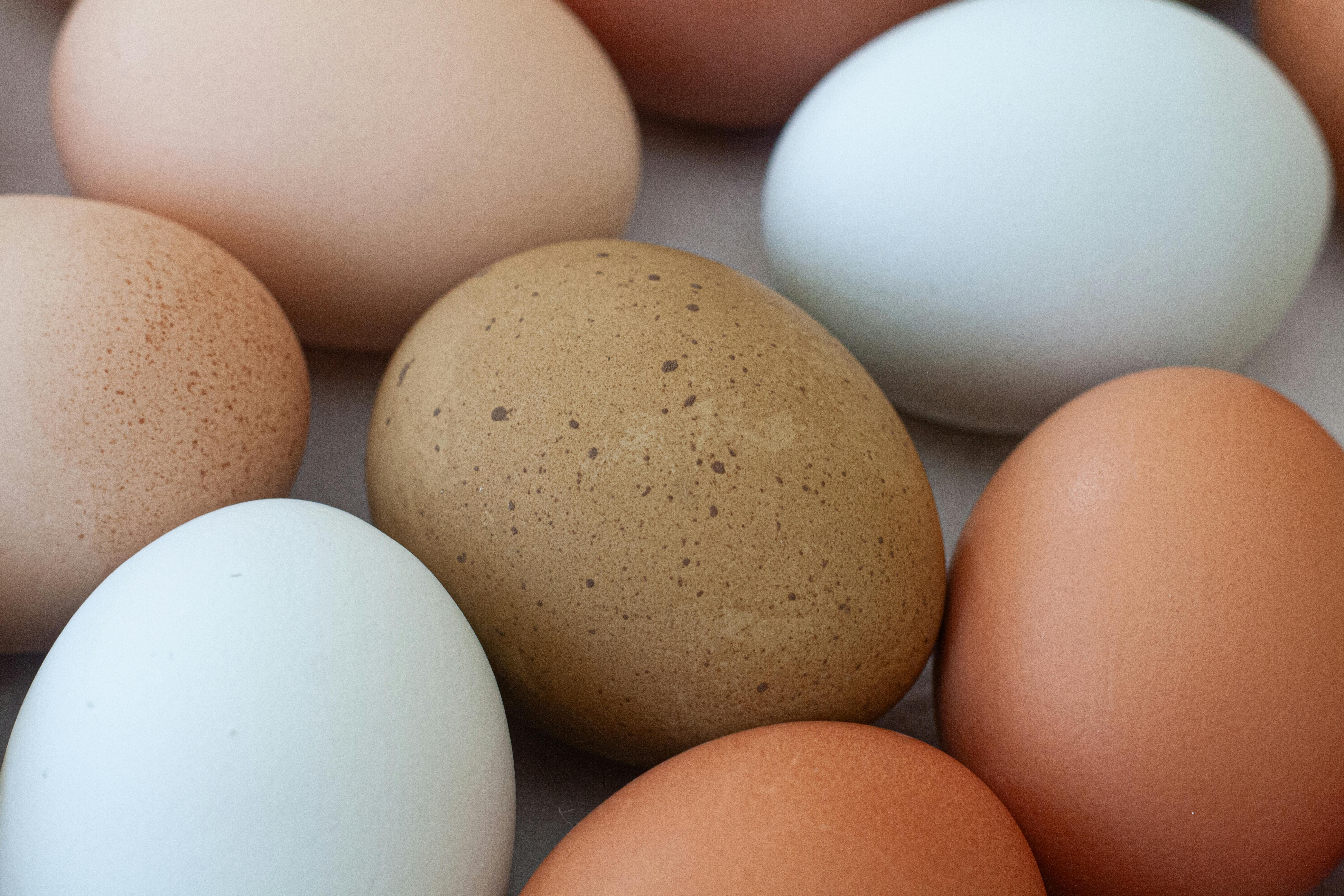 Ahli Gizi: Jangan Khawatir Berlebihan Soal Asupan Protein Harian Anda