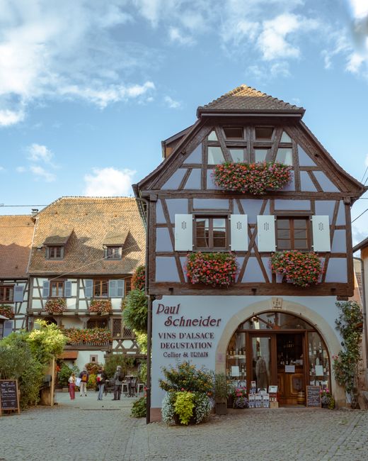 A picturesque view of Alsatian half-timbered houses in a quaint village on a sunny day.