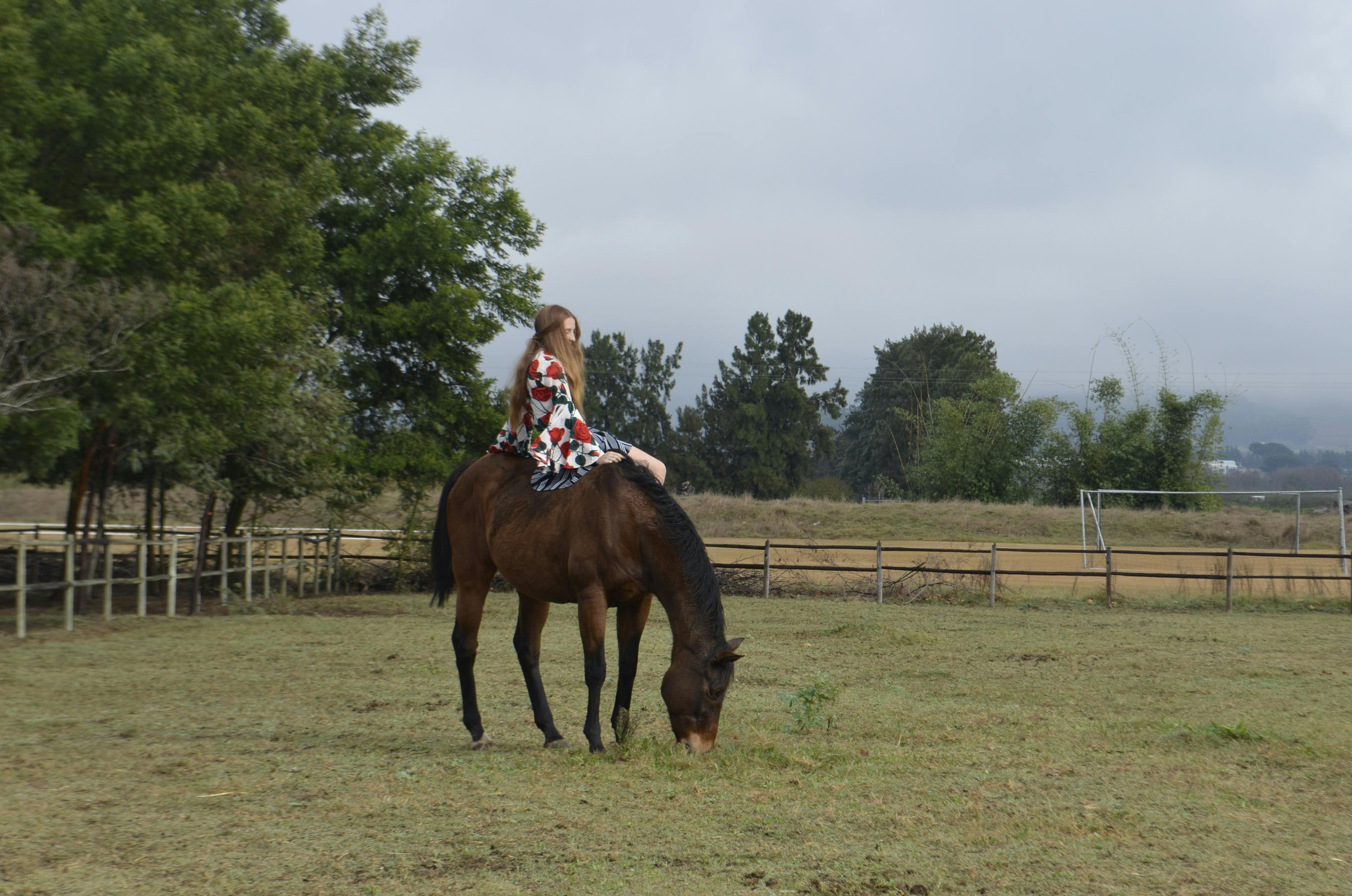 Free stock photo from Ash · Pexels