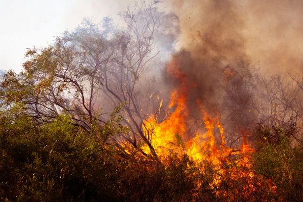 Andros: Fire breaks out in Agia Faneromeni area