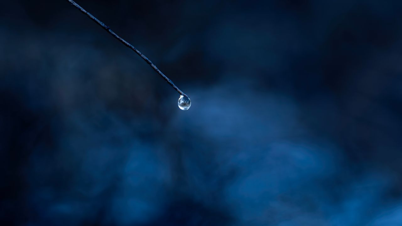 close up of a single water droplet on a branch against a blue backgrou