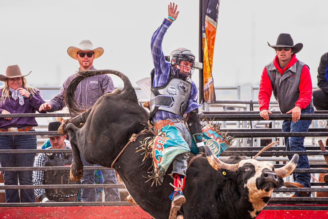 Exciting Rodeo Bull Riding Action Moment Captured ยท Free Stock Photo