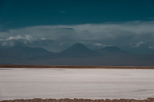Atacama salt flat flamingos — Atacama Desert
