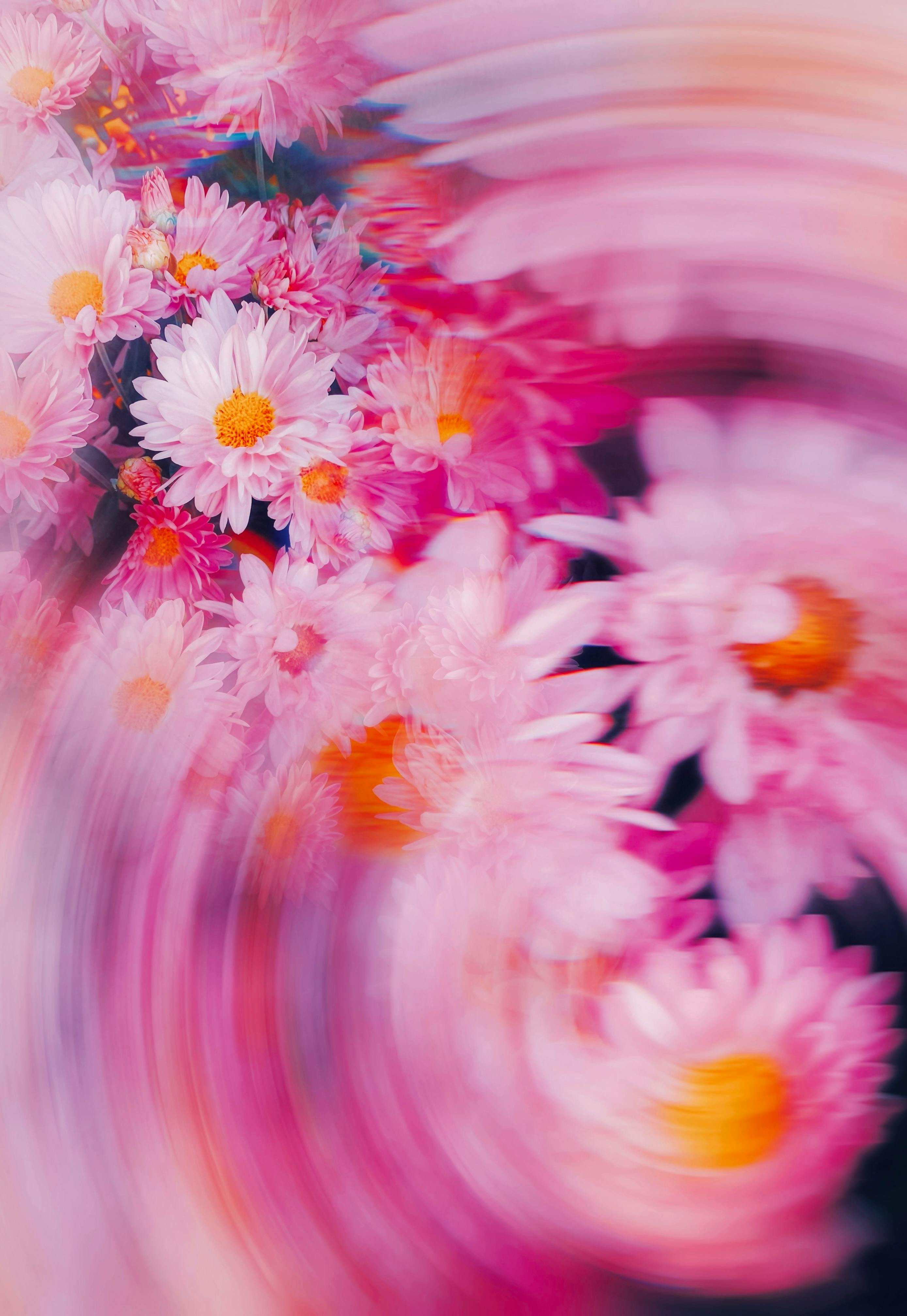 Colorful daisies in motion blur creating a vibrant and artistic floral display.