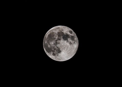 Free Captivating full moon in sharp detail set against a dark night sky. Stock Photo