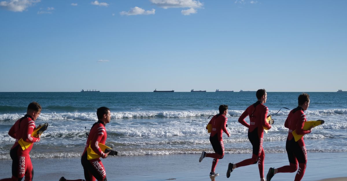 生活:黑鳶墜海,陸海聯合救援,這背後發生了什麼事情?