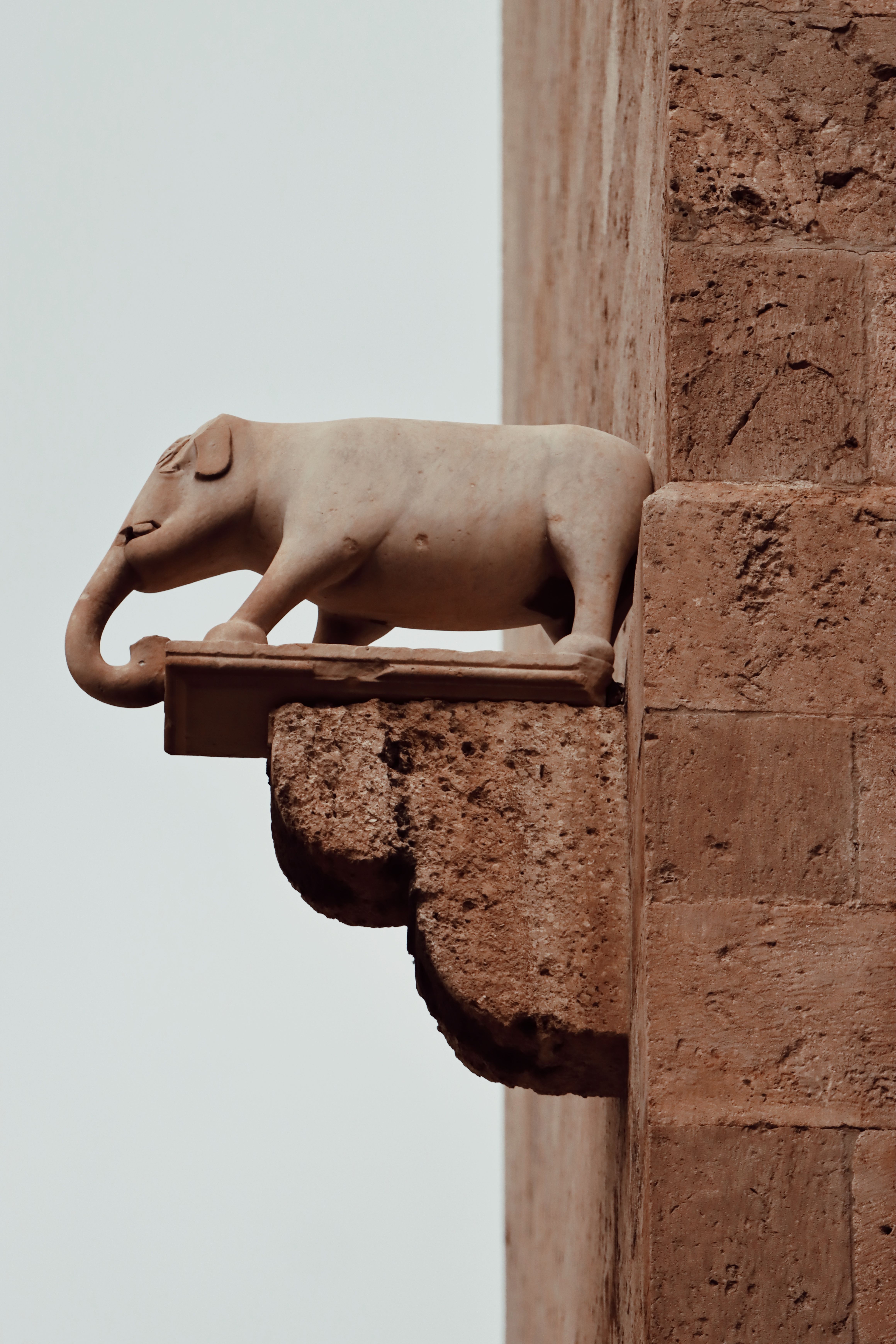 Elefantes de pedra do século XVI regressam à Igreja de São João do Alporão