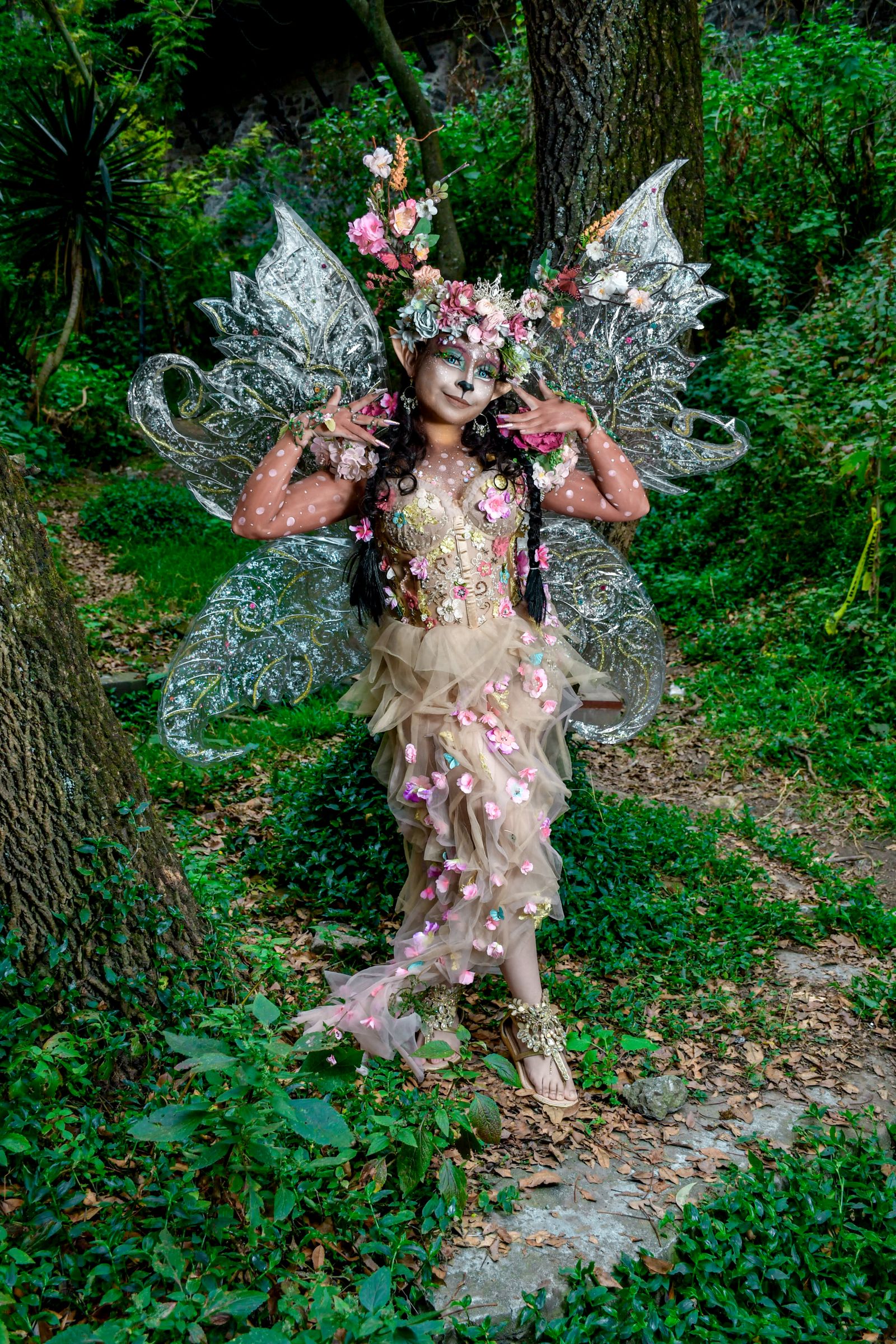 Fantasy Fairy in Enchanted Forest Setting · Free Stock Photo