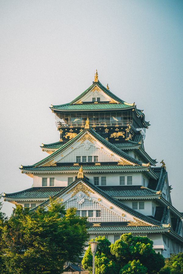 Kyoto Cherry Blossom Tour holiday package