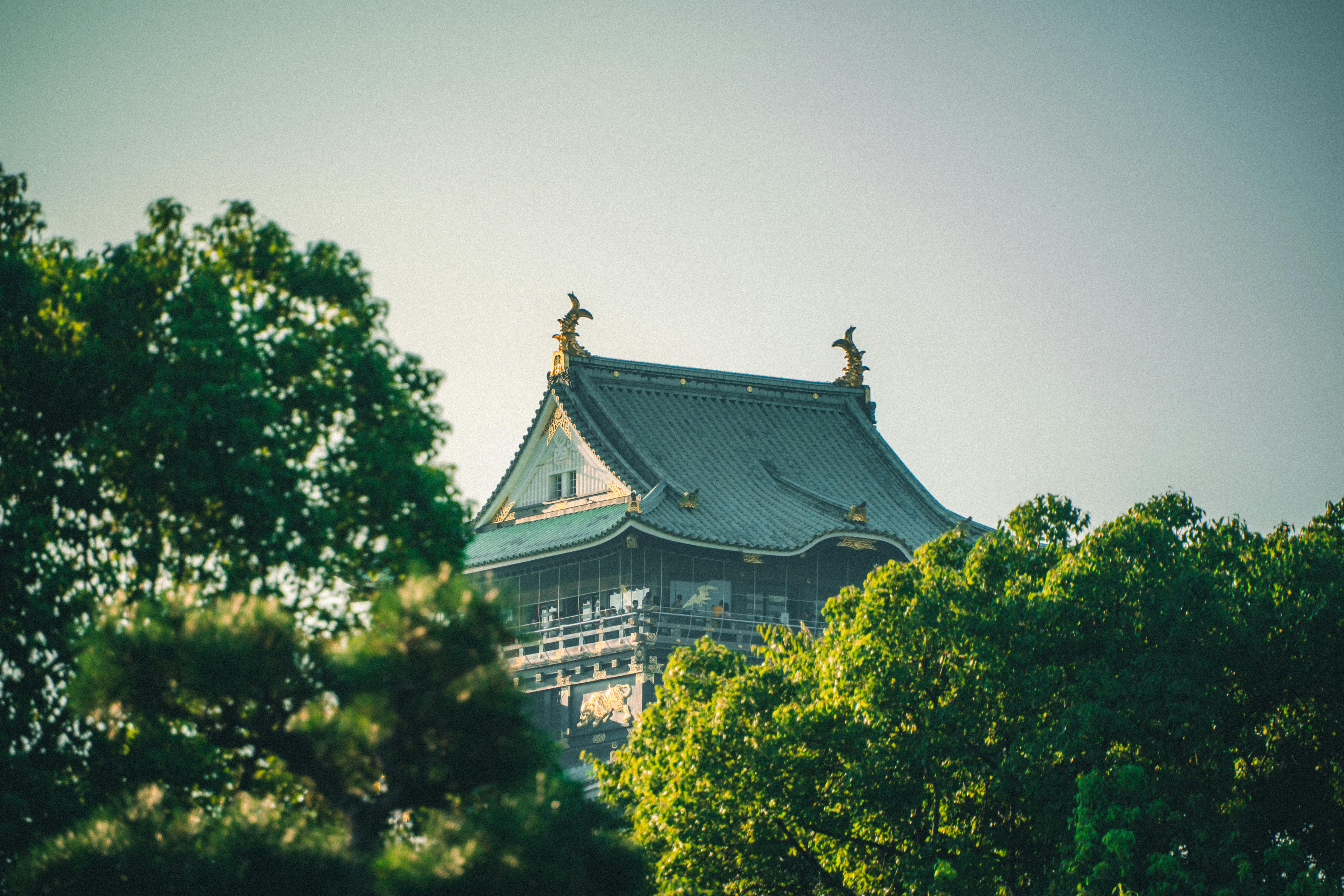 Serene view of a traditional Japanese castle hidden among lush green trees.