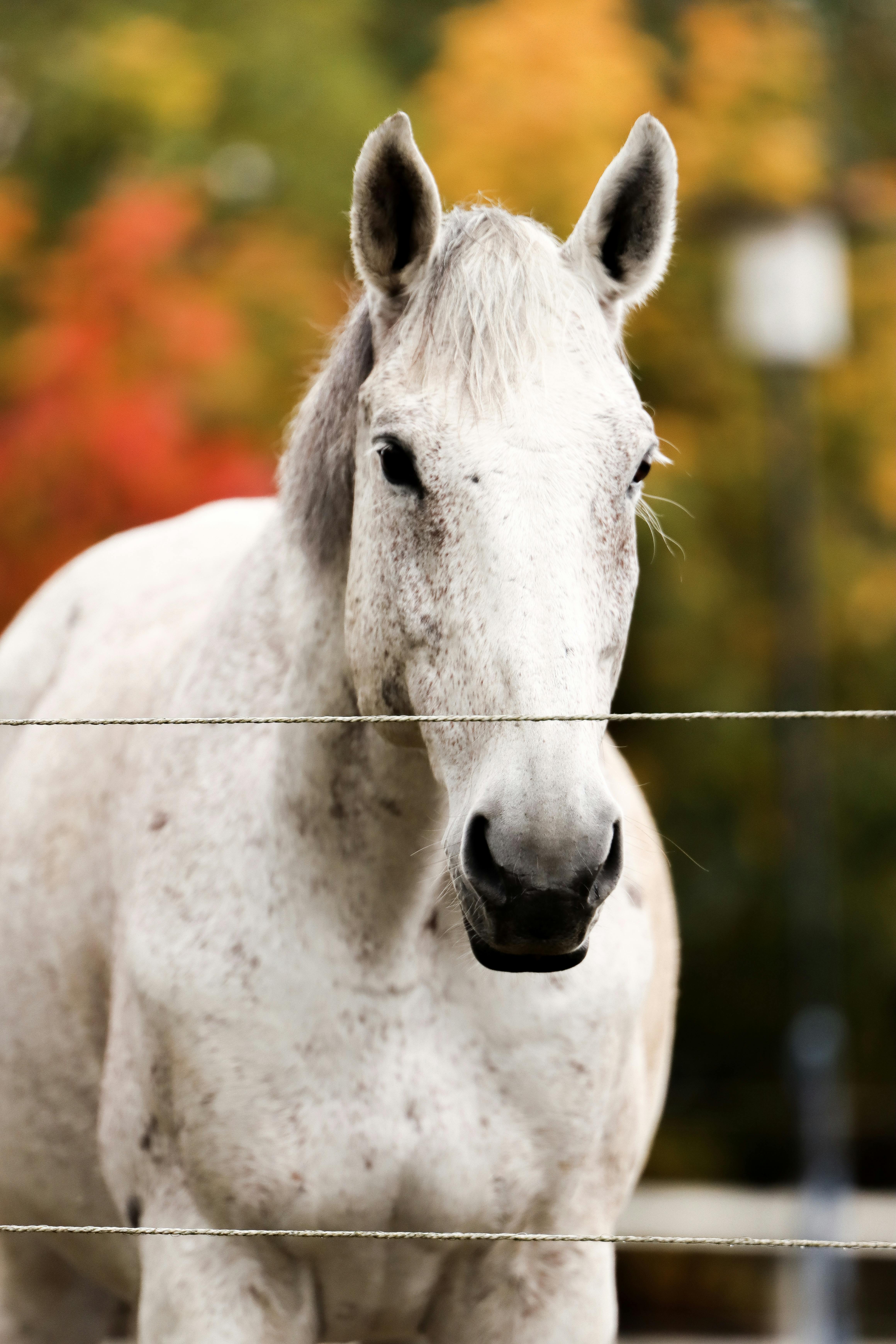 Kulturnatt Stockholm 2024: En Guide till Staden Dolda Kulturupplevelser
