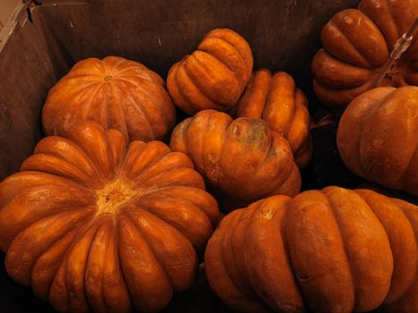 A collection of vibrant orange pumpkins at an outdoor market, perfect for fall decor.