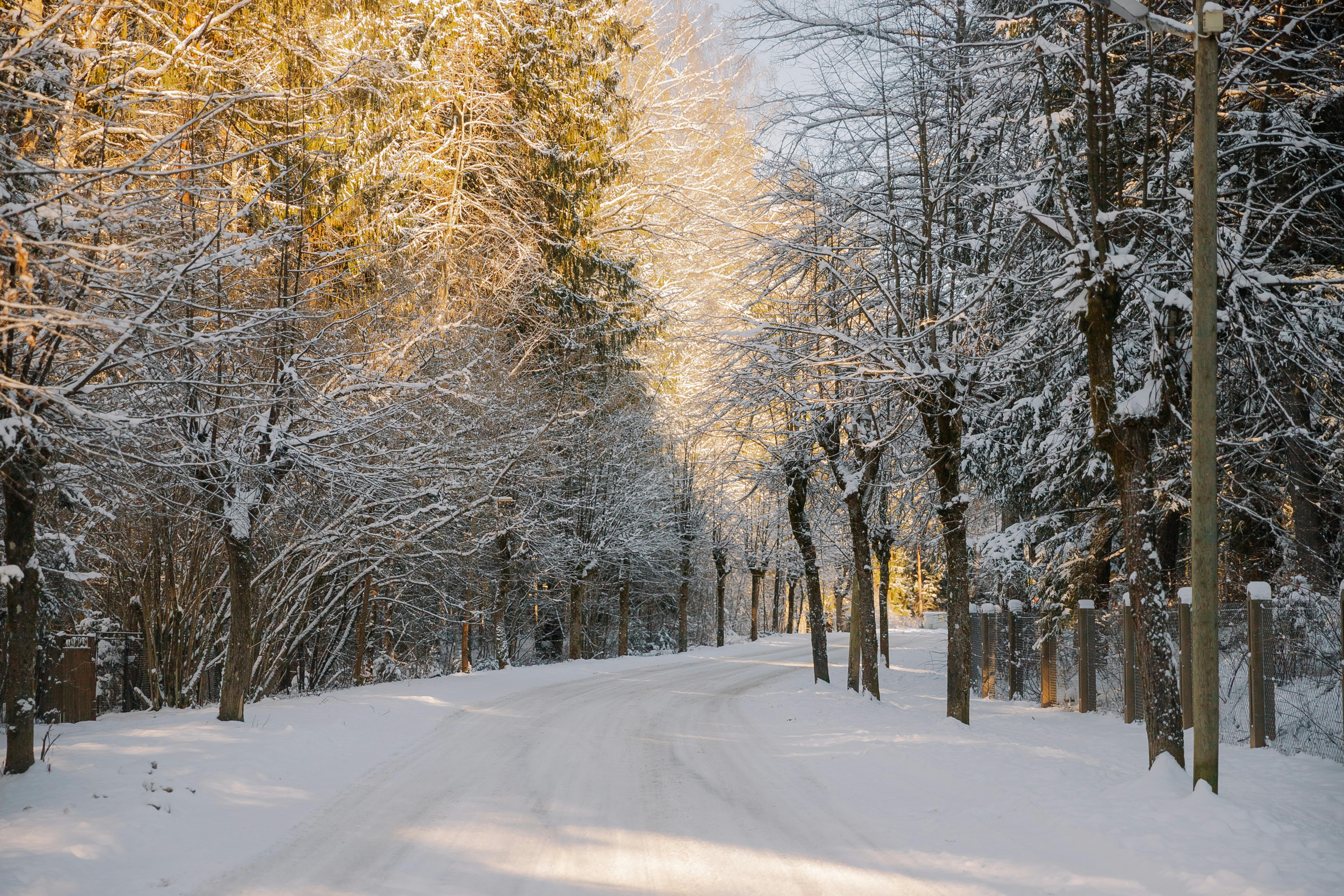 Selling in Winter? Why Late-Year Listings Can Still Pay Off — Photo by Elina Volkova on Pexels