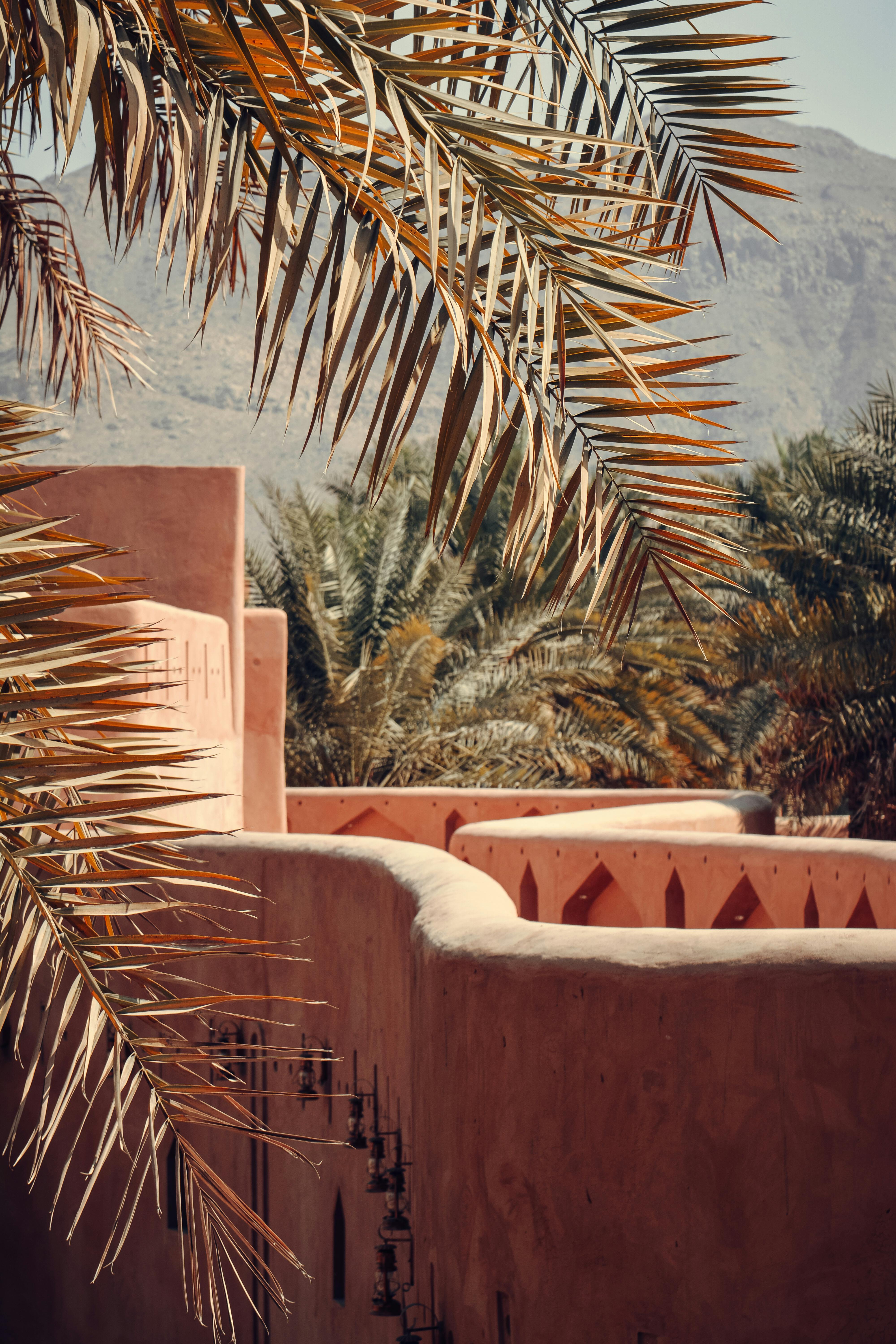 Beautiful view of traditional Omani architecture with palm trees under a sunny sky.