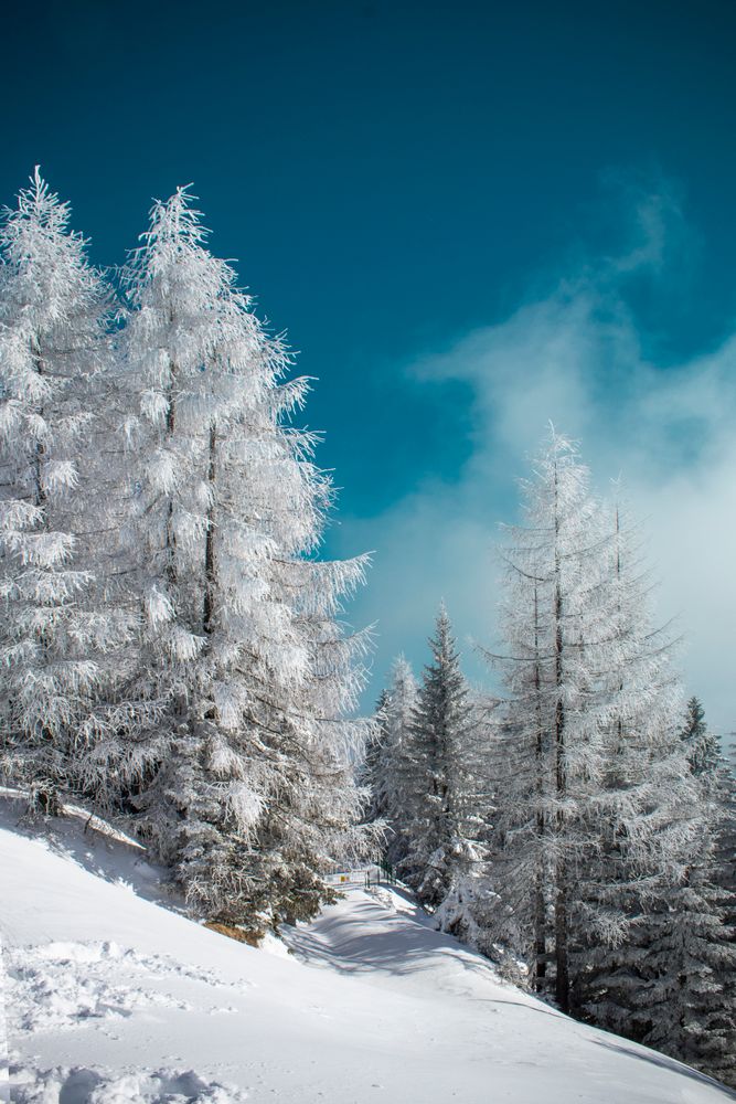 4k Wallpaper Snow Photos, Download The BEST Free 4k Wallpaper Snow ...