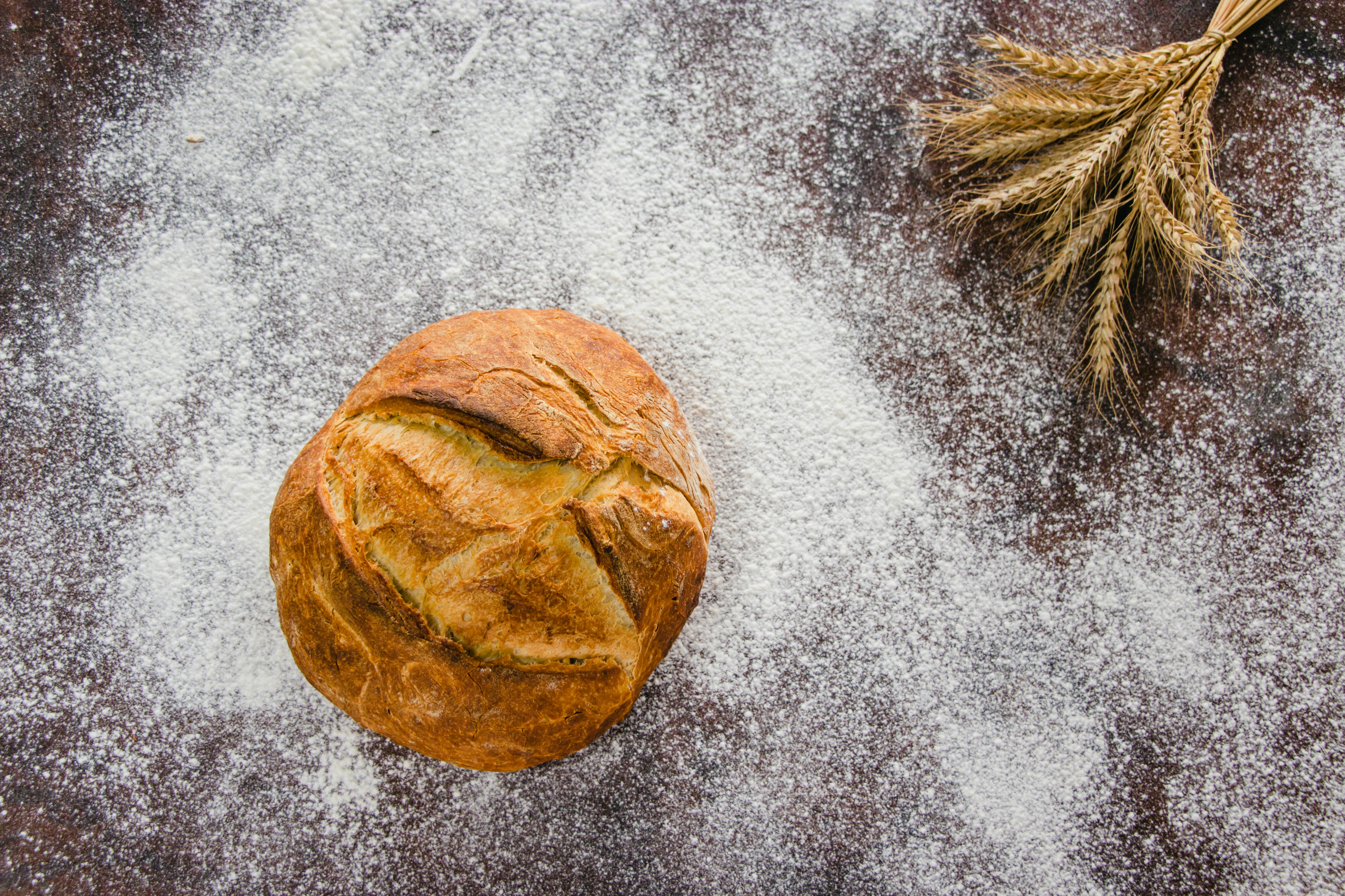 Best Grain Mills for Fresh Flour in 2026