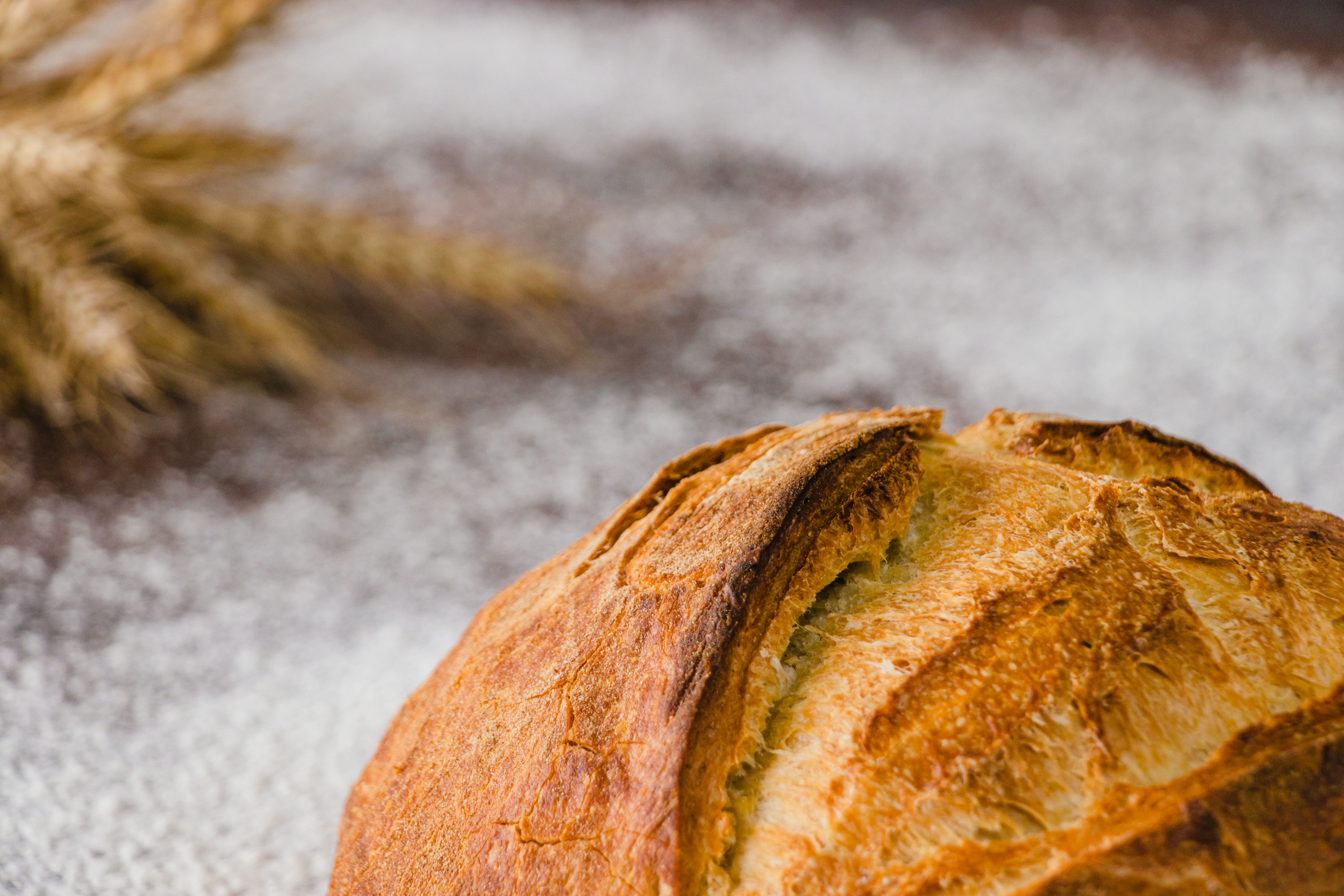 Best Stand Mixers for Bread Baking (2026)