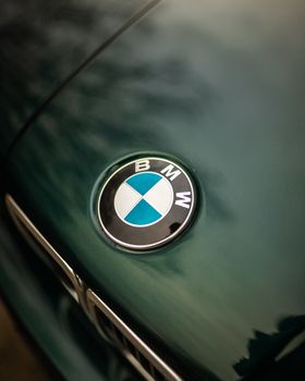 Detailed image of a car emblem on a green vehicle hood, showcasing the brand logo. - Fotografer Sidoarjo