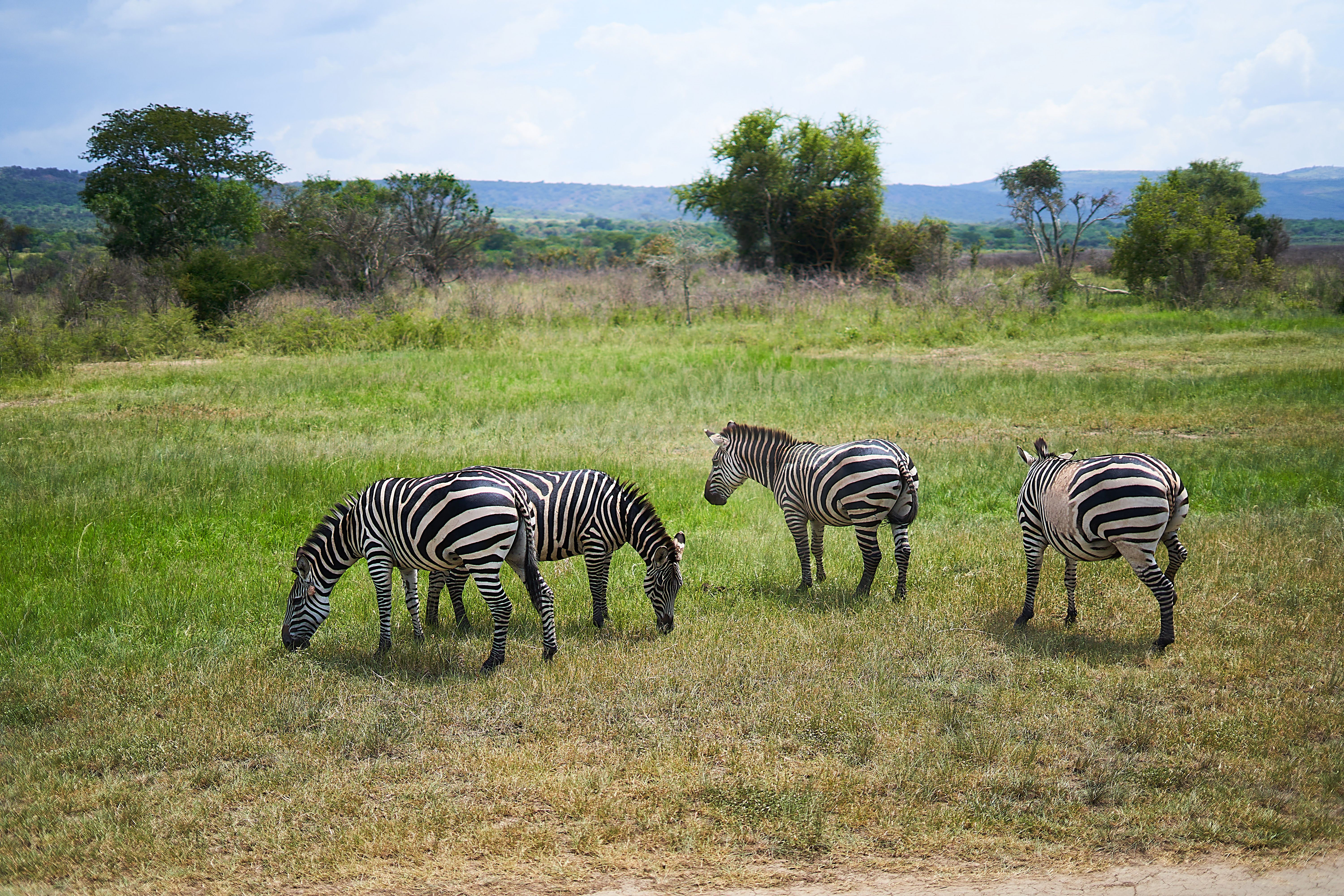 Akagera National Park