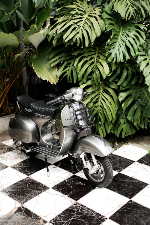 Free A vintage scooter parked on a checkered floor amidst tropical leaves. Stock Photo