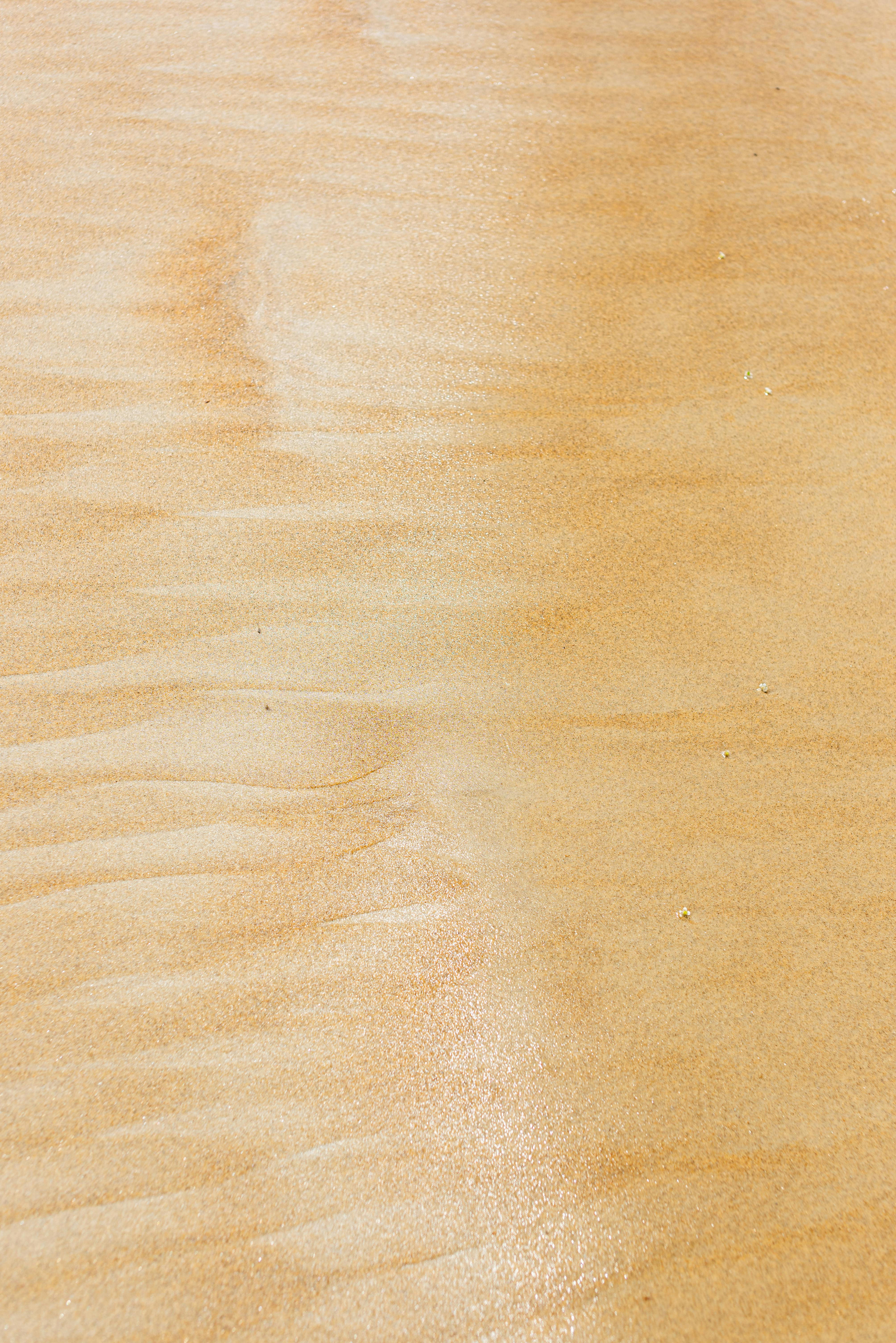 bezplatná Detailní záběr zlaté písčité textury na pláži Maracas Bay, ideální pro přírodu a cestování. Základová fotografie