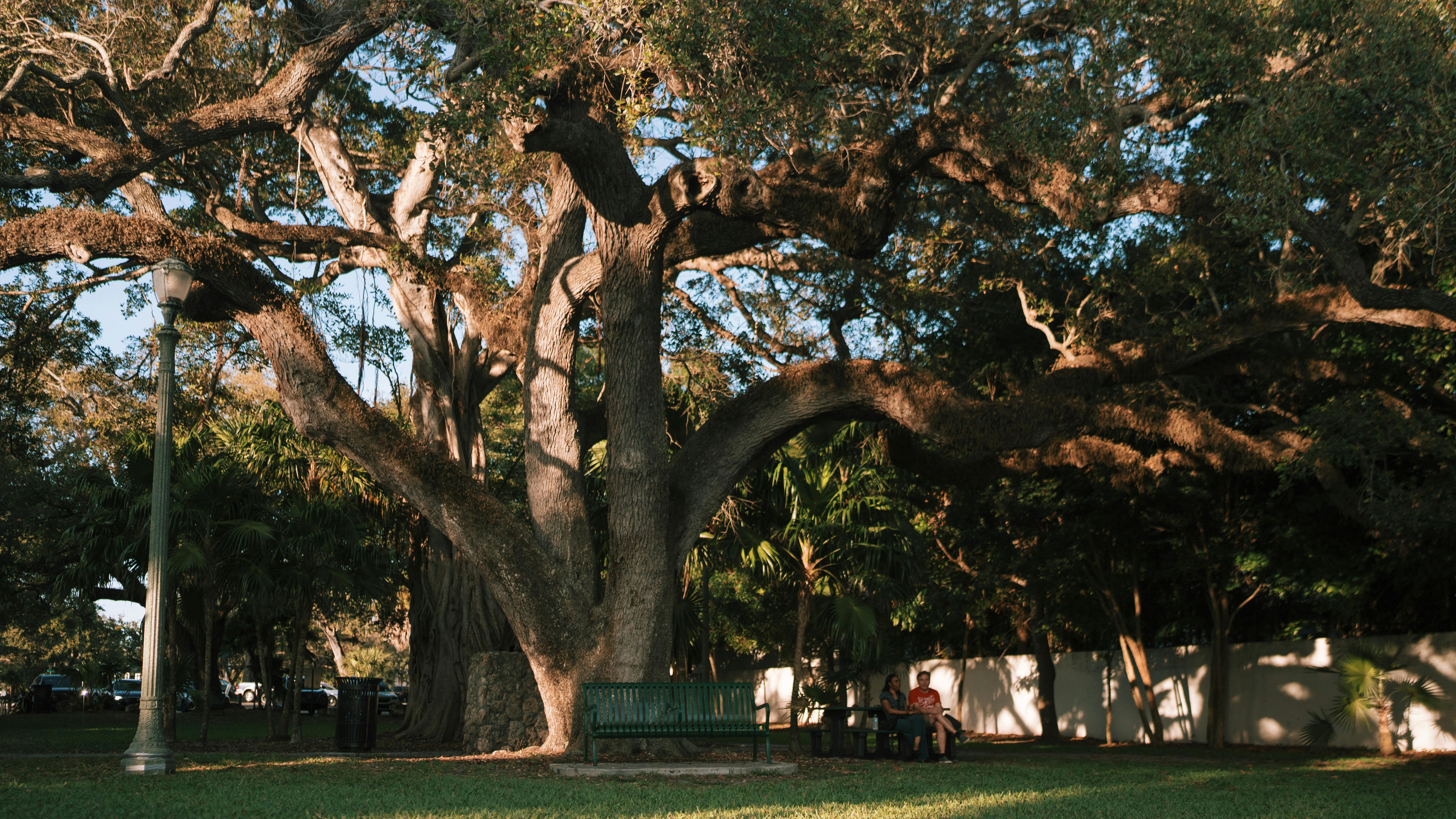 Choosing the Right Parking Spot for a Large Vehicle
