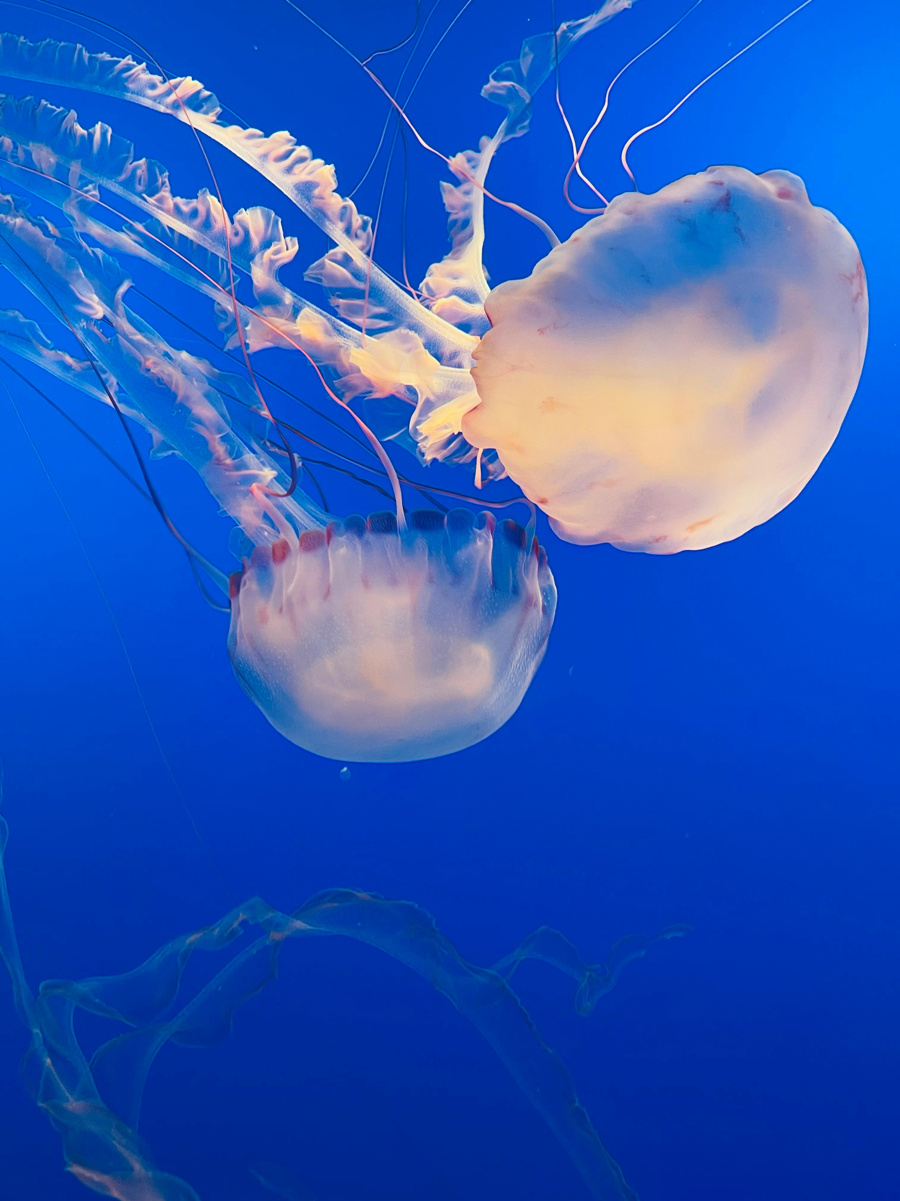 Grace Bay, Turks and Caicos Islands