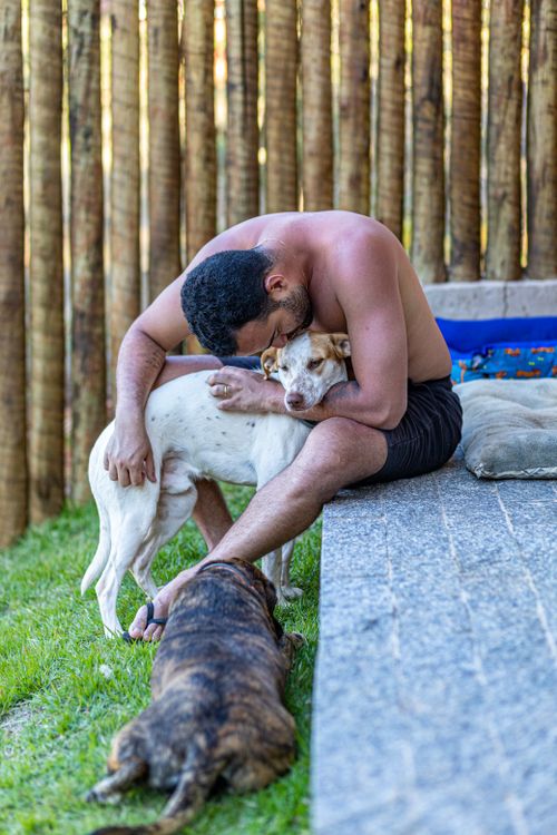 Free A man embraces two dogs on a sunny day, conveying warmth and companionship. Stock Photo