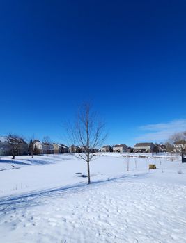 Snowy suburban landscape in Indianapolis with clear blue skies and modern homes.