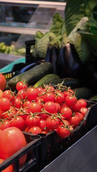 Vibrant fresh produce including tomatoes, cucumbers, and eggplants at a market stall.