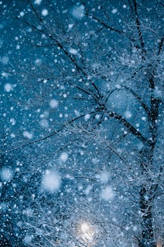 A serene winter night scene in Ankara with snow-covered trees under the moonlight. Peaceful and enchanting.