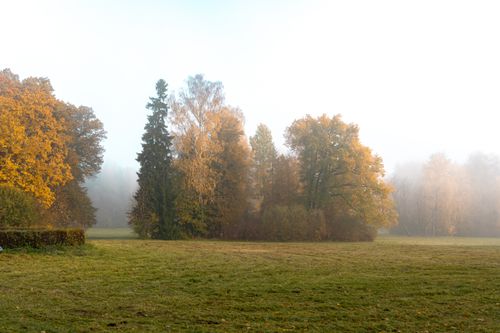 Free A tranquil autumn landscape with colorful trees and morning mist. Stock Photo