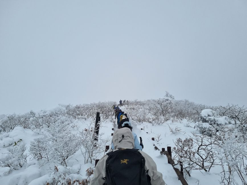 한국에서 취미 생활하기: 등산부터 독서 모임까지 image 1