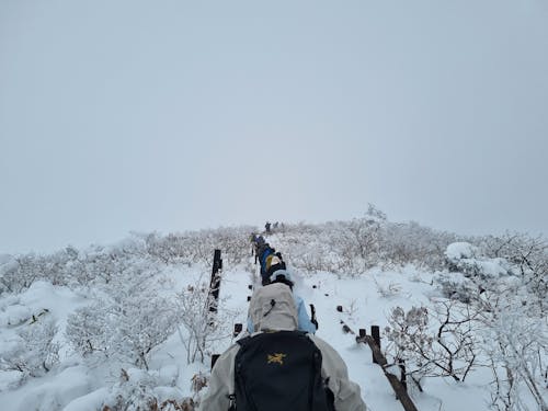 Tragic Fall: Hiker Plunges From Icy California Trail to Death