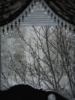 Snow falling outside a window, framed by dark curtains and bare branches.