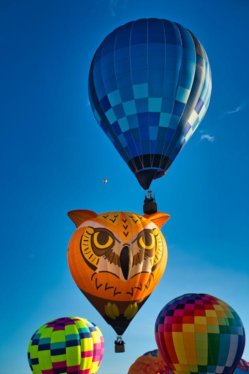 Assorted-color Hot Air Balloons
