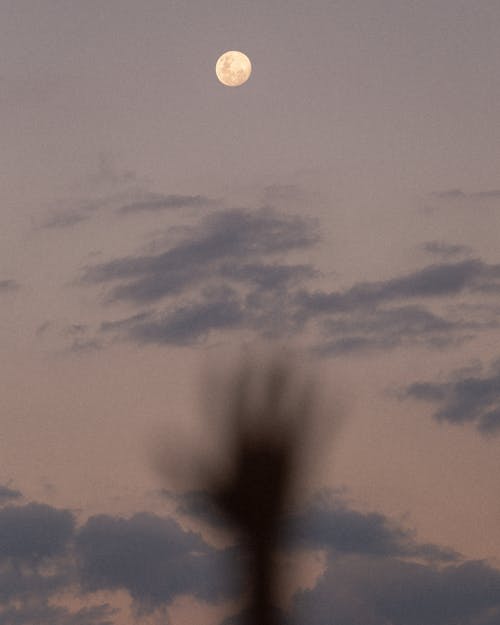Безкоштовне стокове фото на тему «вечір, заграва, місяць»