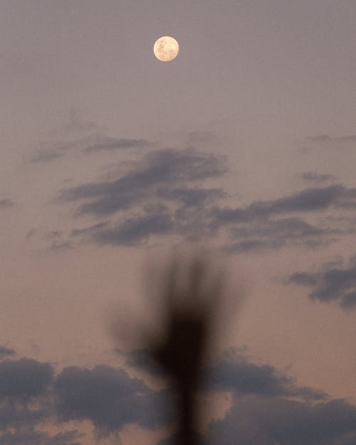 Full Moon in the Sky With Silhouette Of Human Hand