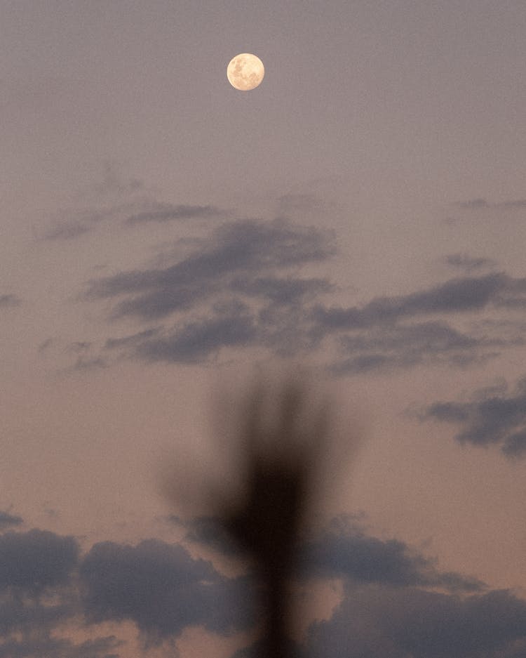 Full Moon In The Sky With Silhouette Of Human Hand