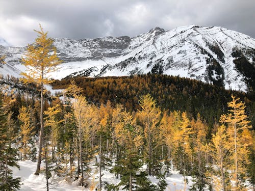 From Nevada To Texas, Fall Feels More Like Summer Heat